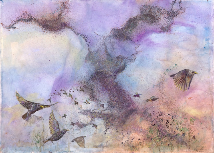 Wildlife Water Color