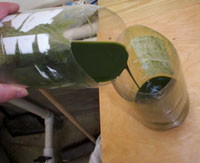 Manure Making Energy