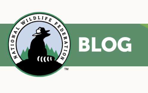 PhotoVoltaics World Magazine