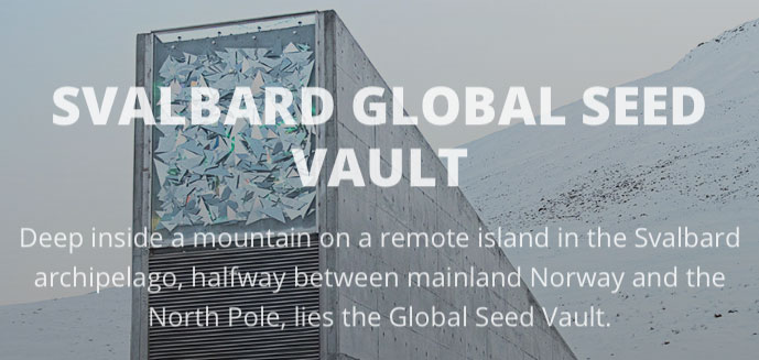 Synthtic Genomics Logo